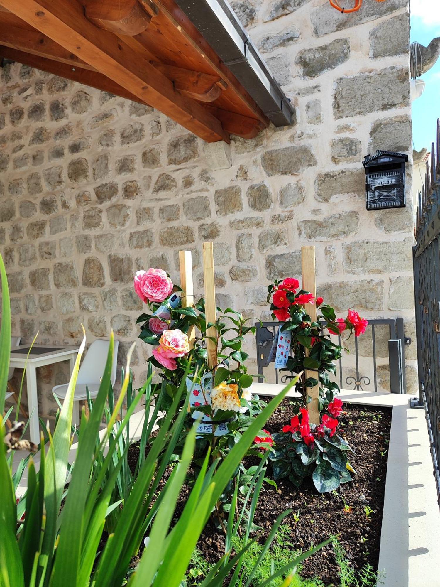 Apartments Harriete Dubrownik Zewnętrze zdjęcie